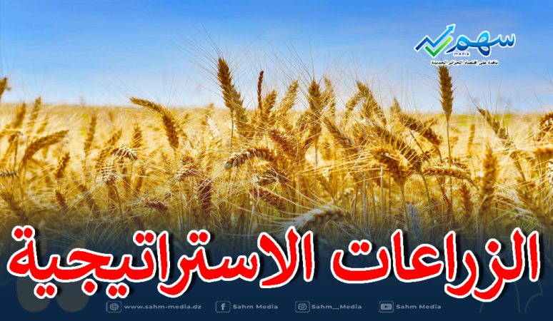 الزراعات الاستراتيجية